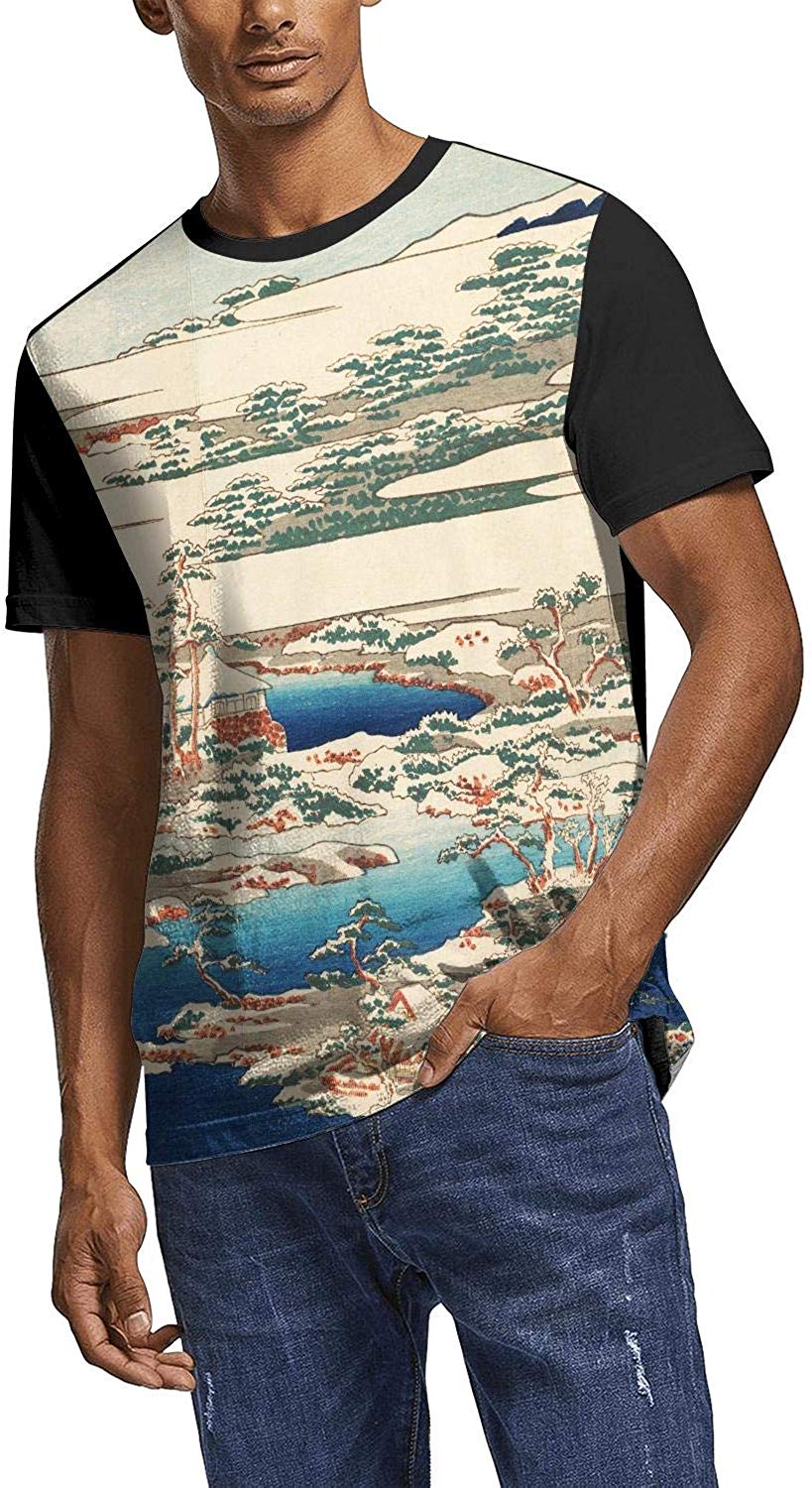Japanese Ukiyo Art 3D Printed Men's Graphic Crew Neck Travel Short Sleeve White-242 T-Shirt