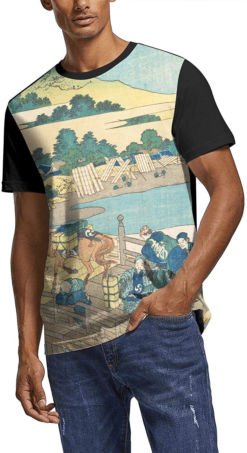 Japanese Ukiyo Art 3D Printed Mens Popular Crew Neck Travel Short Sleeve White-247 T-Shirt